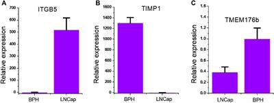 Using CRISPRa and CRISPRi Technologies to Study the Biological Functions of ITGB5, TIMP1, and TMEM176B in Prostate Cancer Cells